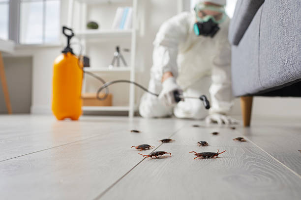 Commercial Kitchen Cockroach Control in Hunters Creek Village
