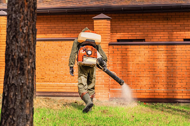 Cockroach Follow-Up and Monitoring in Hunters Creek Village